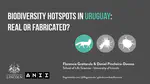 Biodiversity hotspots in Uruguay, real or fabricated?