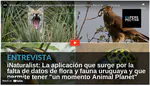 iNaturalist la app con la que cualquiera puede aportar información sobre flora y fauna en Uruguay