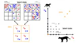 The scale-dependency of species associations in the eyes of integrated species distribution models